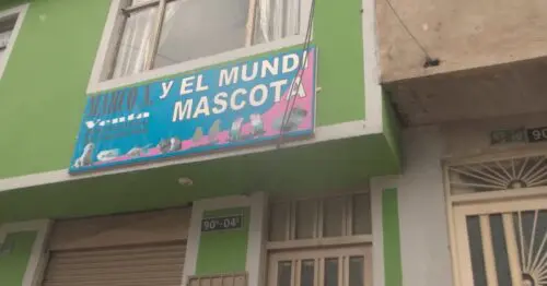 MARCO A Y EL MUNDI MASCOTAS BOGOTÁ MARCO A Y EL MUNDI MASCOTAS BOGOTÁ